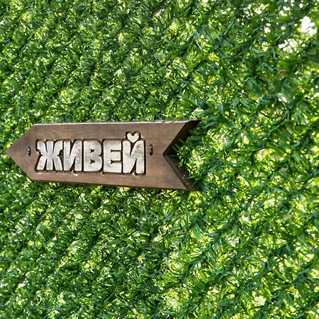 Kalin Natsovtsi