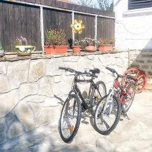 卡林别墅 别墅 *